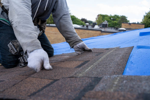 Best New Roof Installation  in Salineville, OH