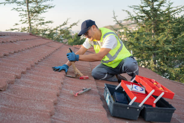 Roof Gutter Cleaning in Salineville, OH