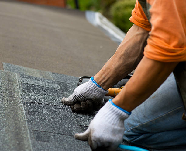 Best Roof Gutter Cleaning  in Salineville, OH