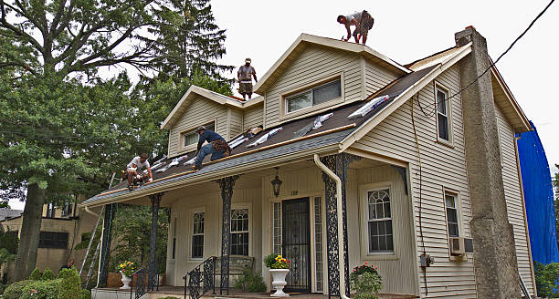 Best New Roof Installation  in Salineville, OH